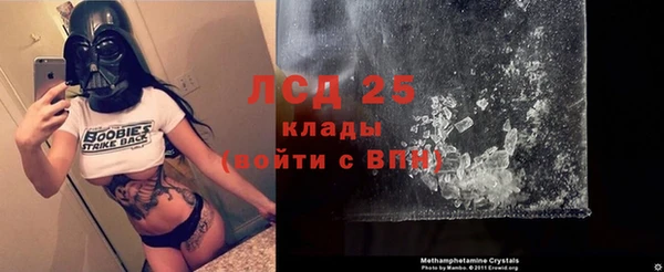 мяу мяу мука Баксан